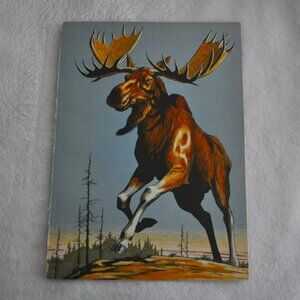 Moose 1950s wildlife book illustration Lee Ames bookplate vintage print outdoors